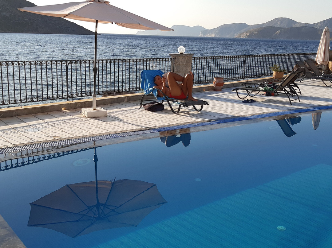 Elena Apartments主图