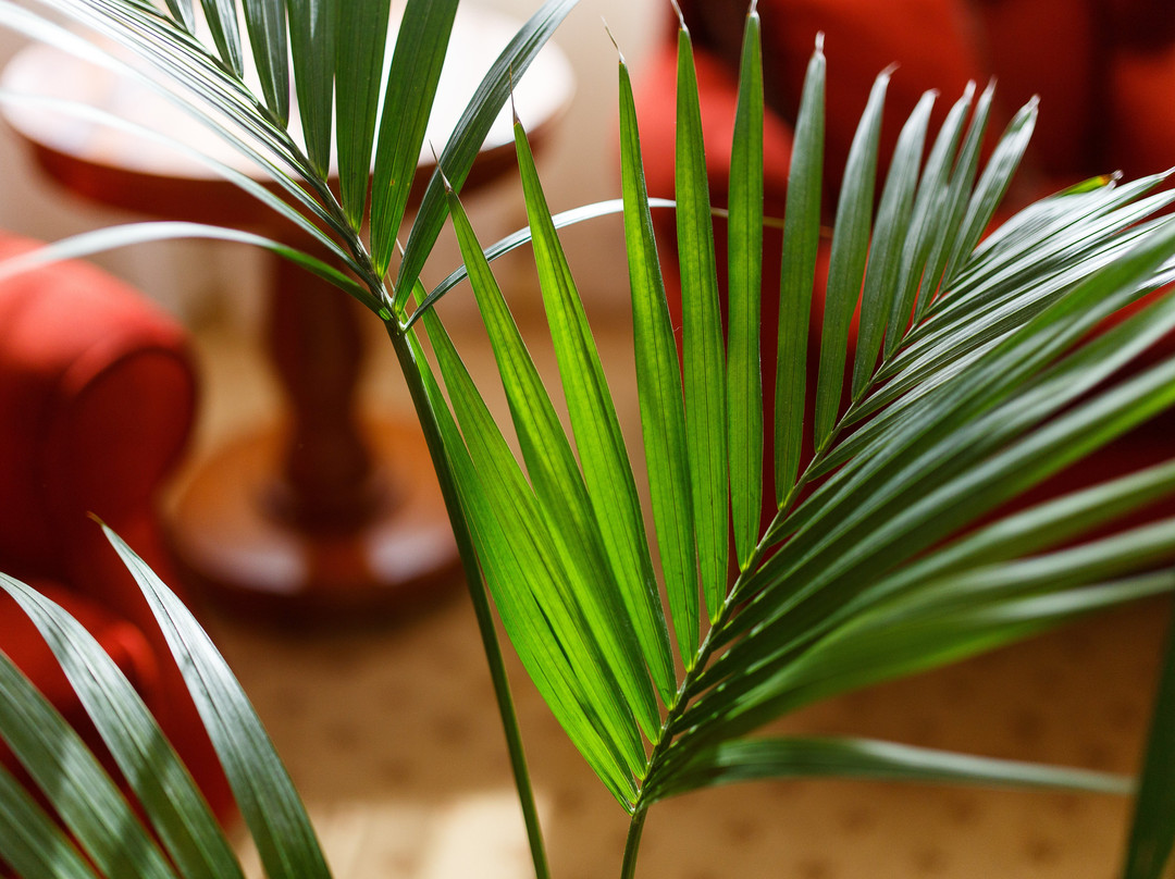 艾瓦伦酒店主图