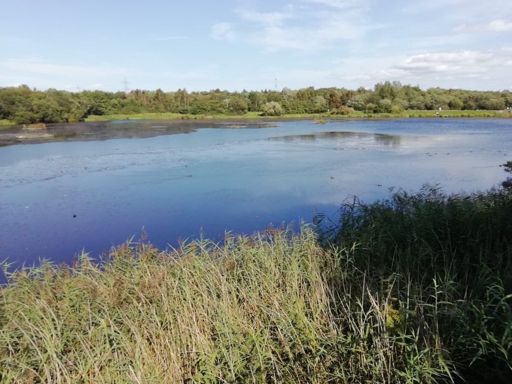 Blackleach Country Park景点图片
