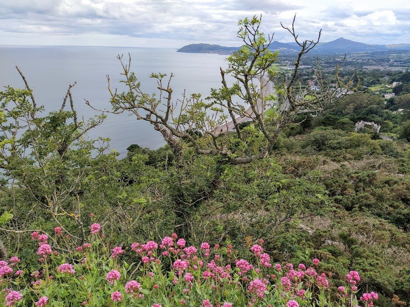 Killiney Hill景点图片