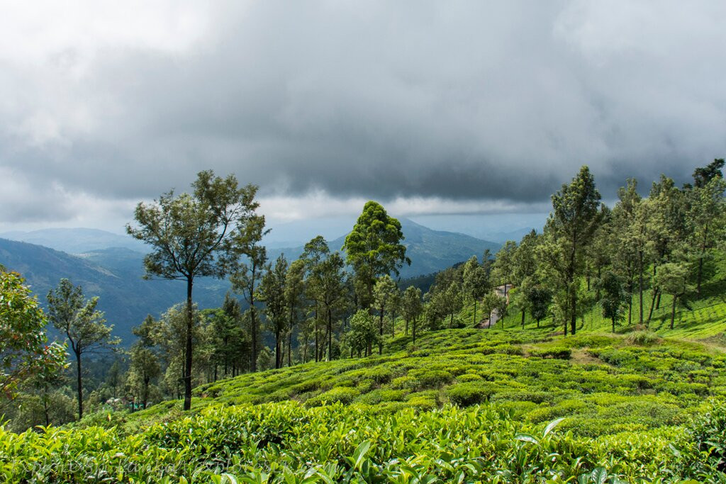 Kolapathana Falls-Mandaramnuwara必去景点