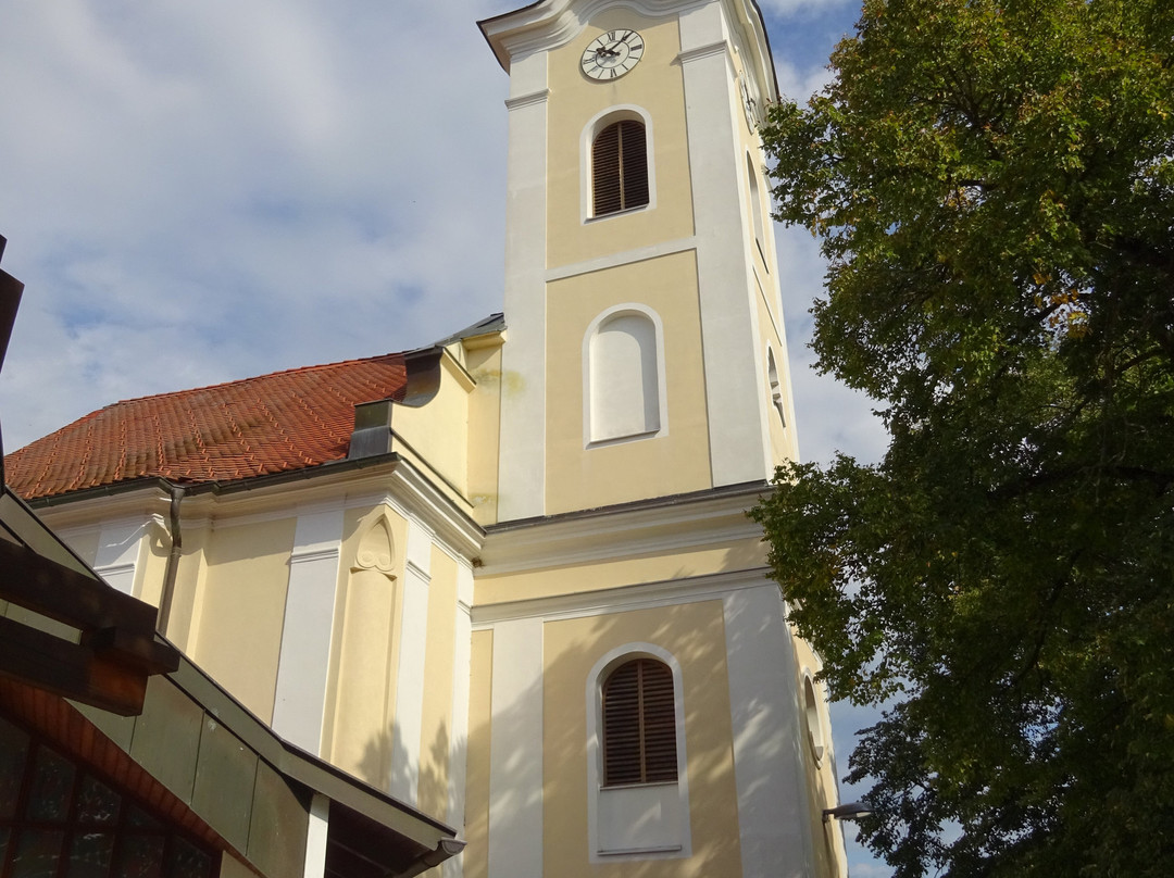 Wallfahrtskirche Mariae Himmelfahrt景点图片