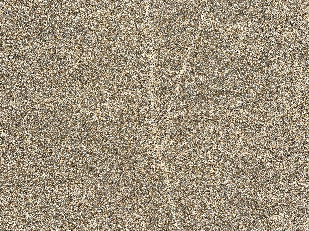 Seven Mile Beach National Park-Shoalhaven必去景点