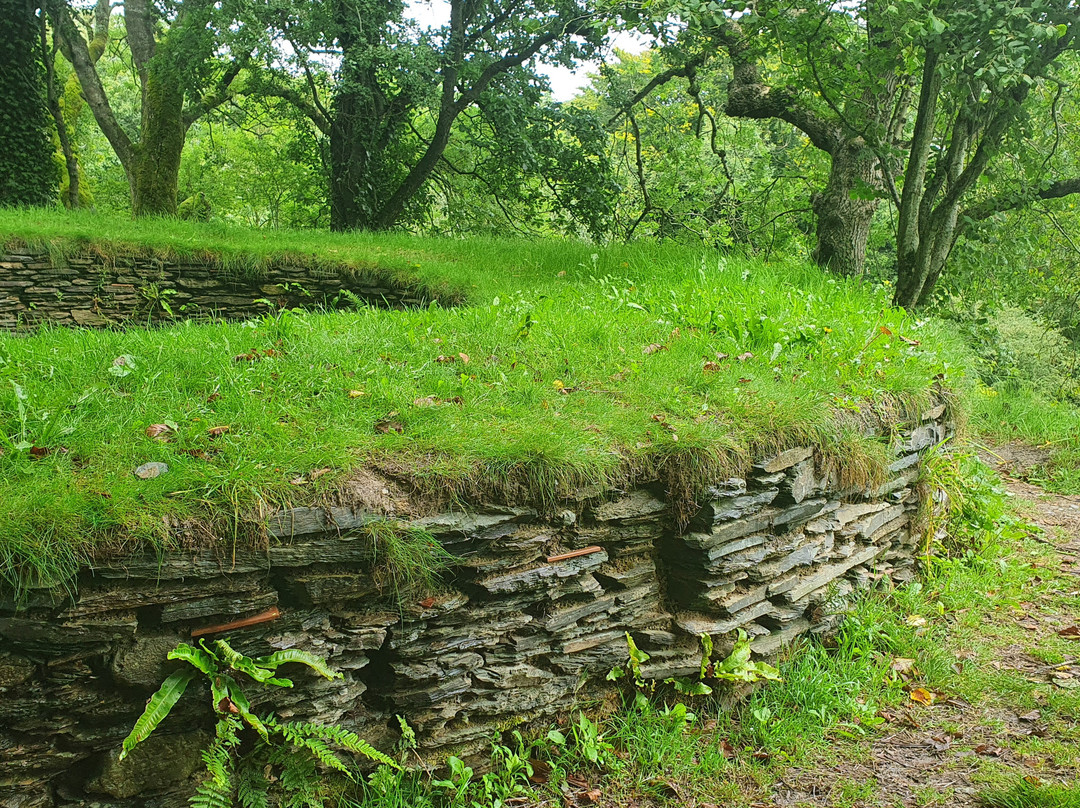 Nevern Castle-Nevern必去景点