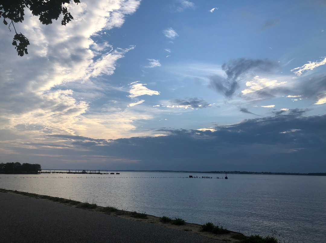 Riverview Beach Park景点图片