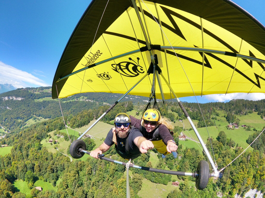 BumbleBee Hang Gliding Interlaken景点图片