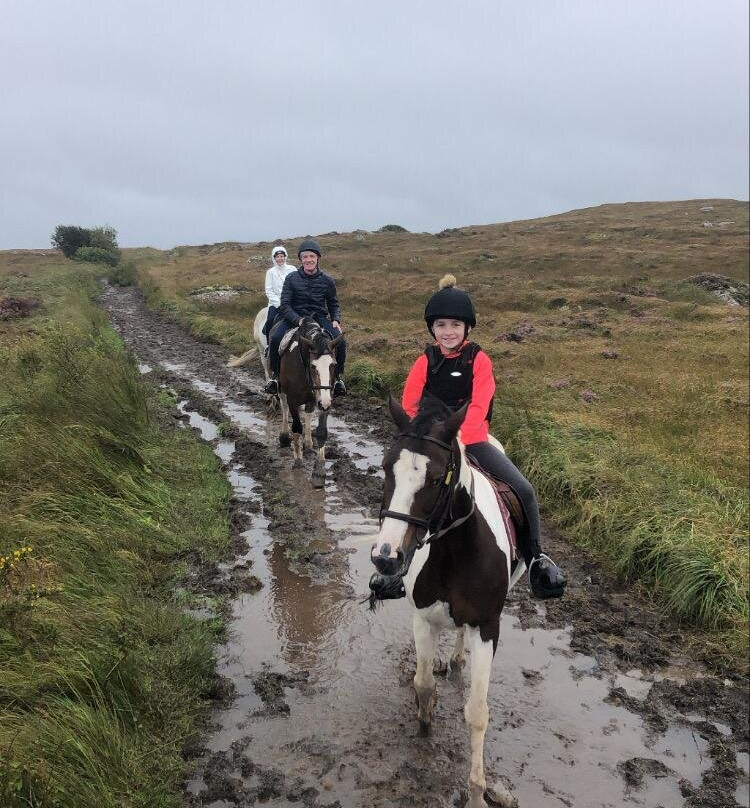 Moycullen Riding Centre-Moycullen必去景点