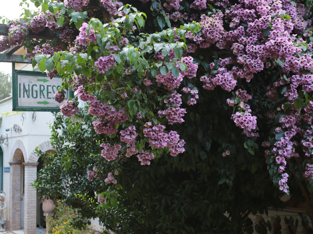 Azienda Agrituristica Il Quadrifoglio主图