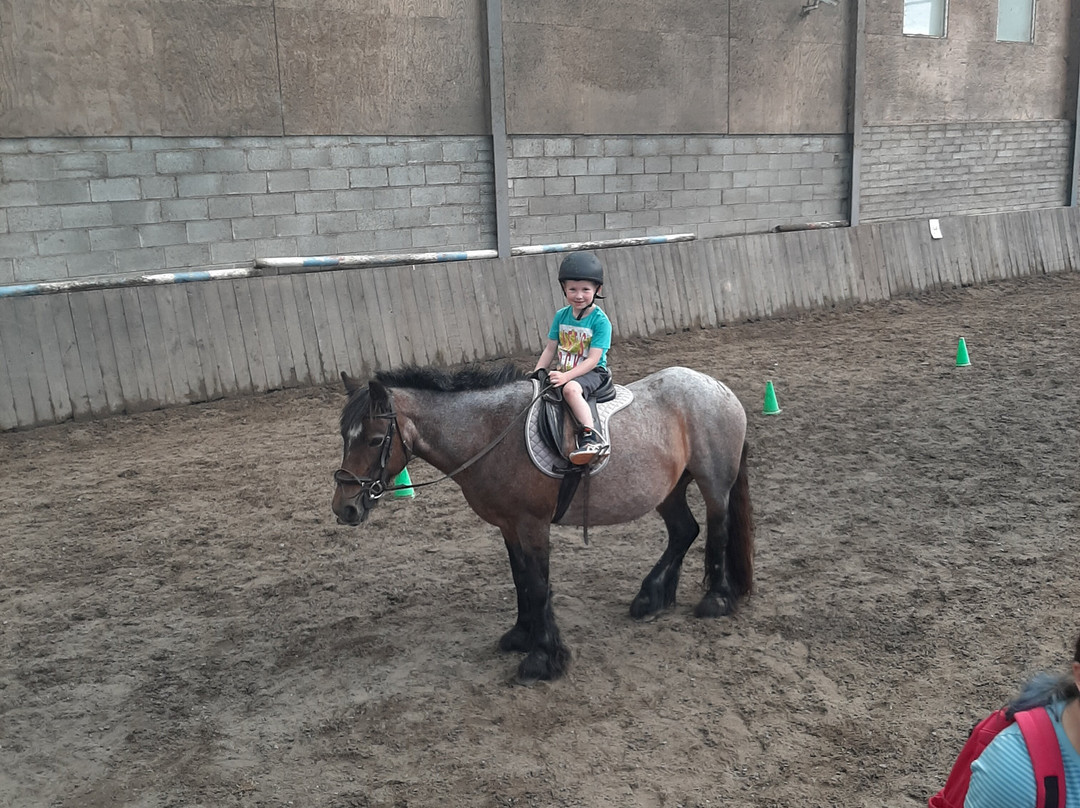 Tralee Equestrian Centre-特拉利必去景点