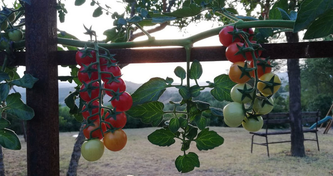 Agriturismo Erta主图