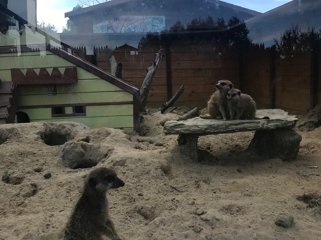 Lemur Park景点图片