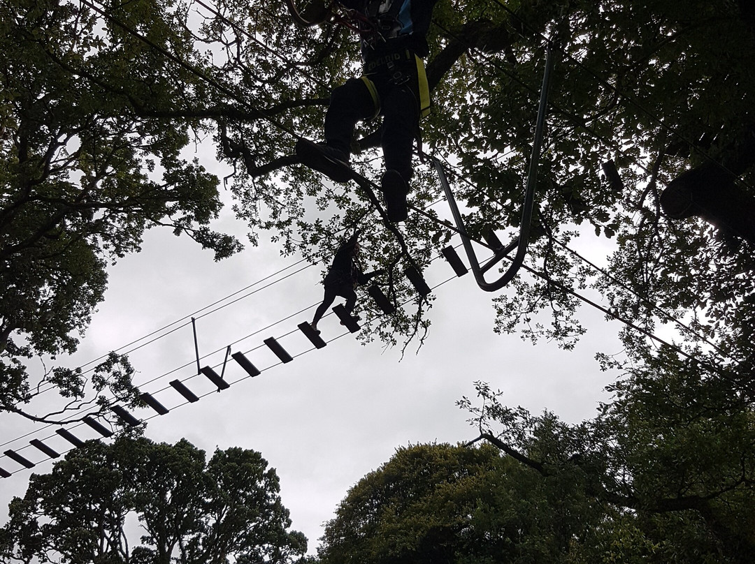 Zipit Forest Adventures景点图片