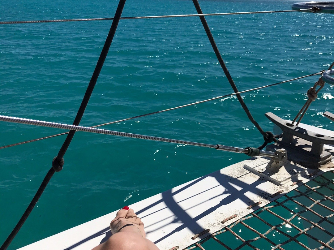 Broome Whale Watching景点图片