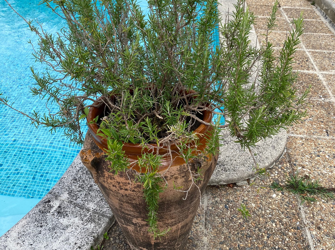 Villa MARSAN - Maison Herve-Martin GARRAPIT主图