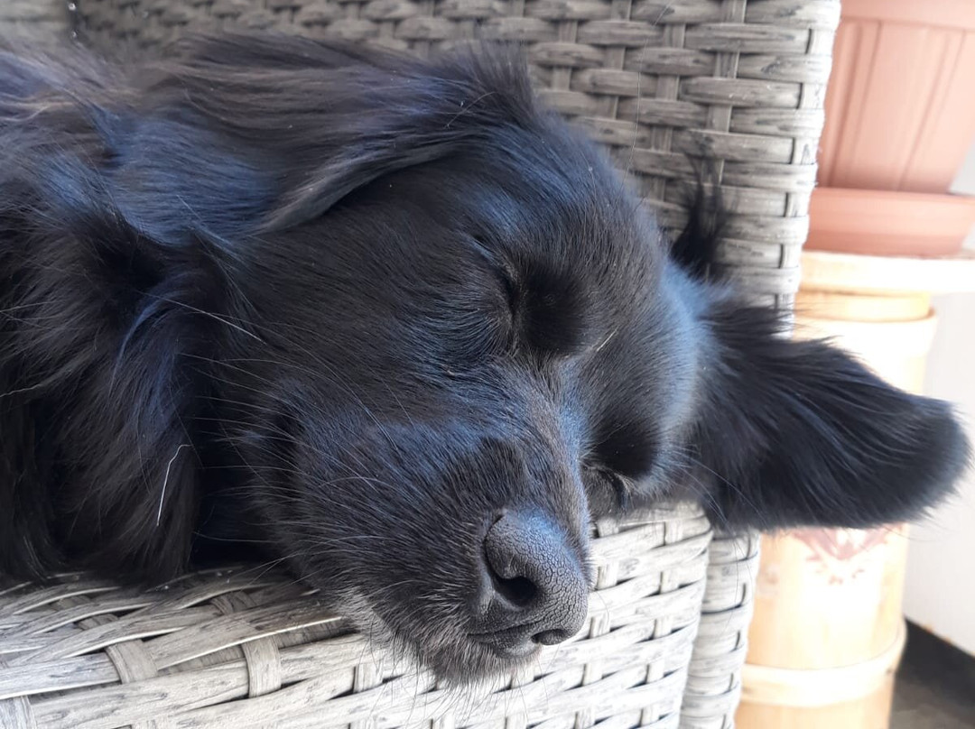 Alpengasthof Schönblick主图