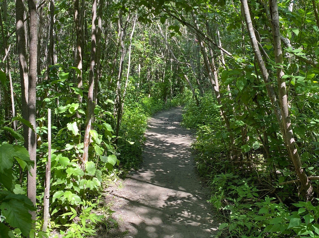 Reserve Naturelle De Pointe-Yamachiche-Yamachiche必去景点