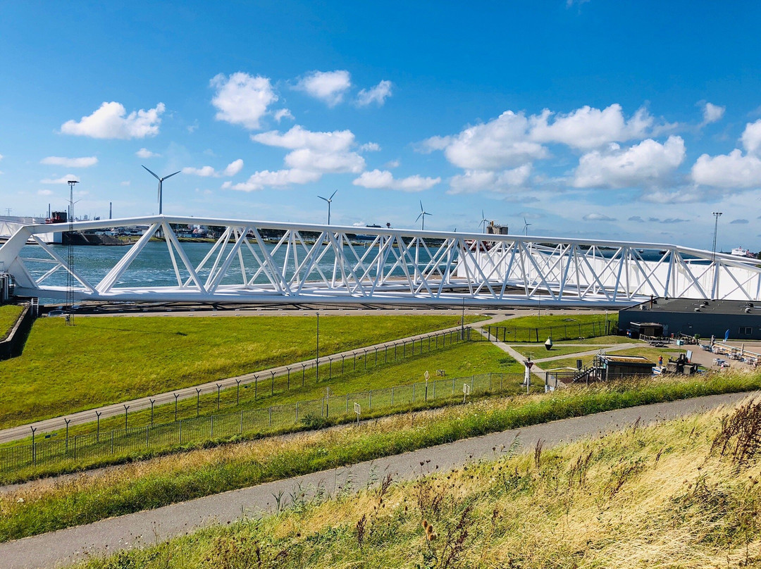 Naaktstrand Hoek van Holland景点图片