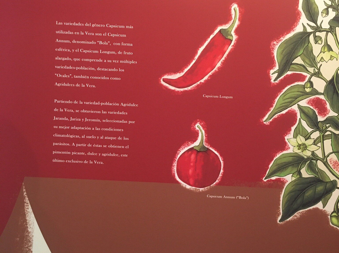 Museo Del Pimenton景点图片