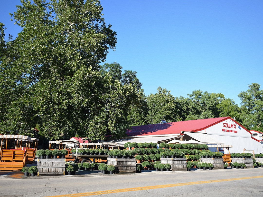 Szalay's Sweet Corn Farm-Peninsula必去景点