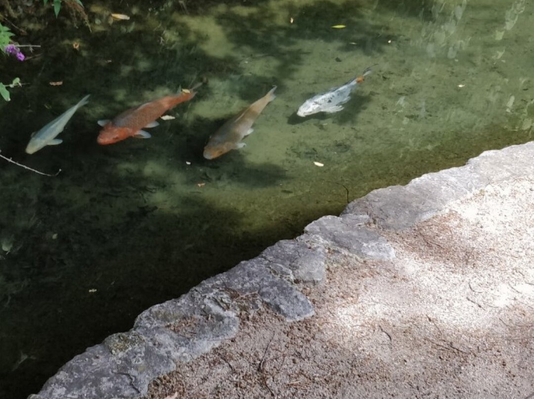 Jardin Aquatique Aux Fleurs de l'Eau景点图片
