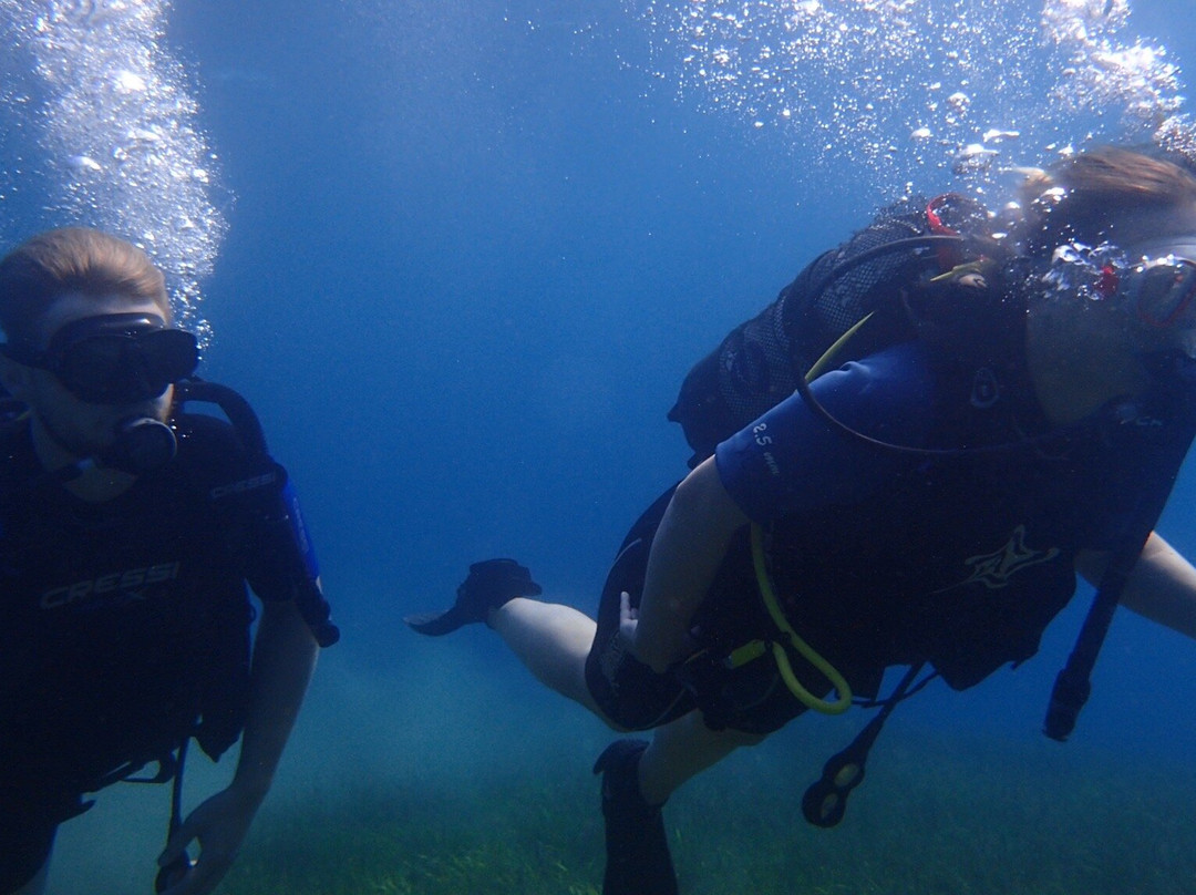 Azure Diving Center景点图片