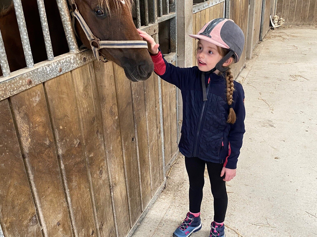 Drumcliffe Equestrian-恩尼斯必去景点