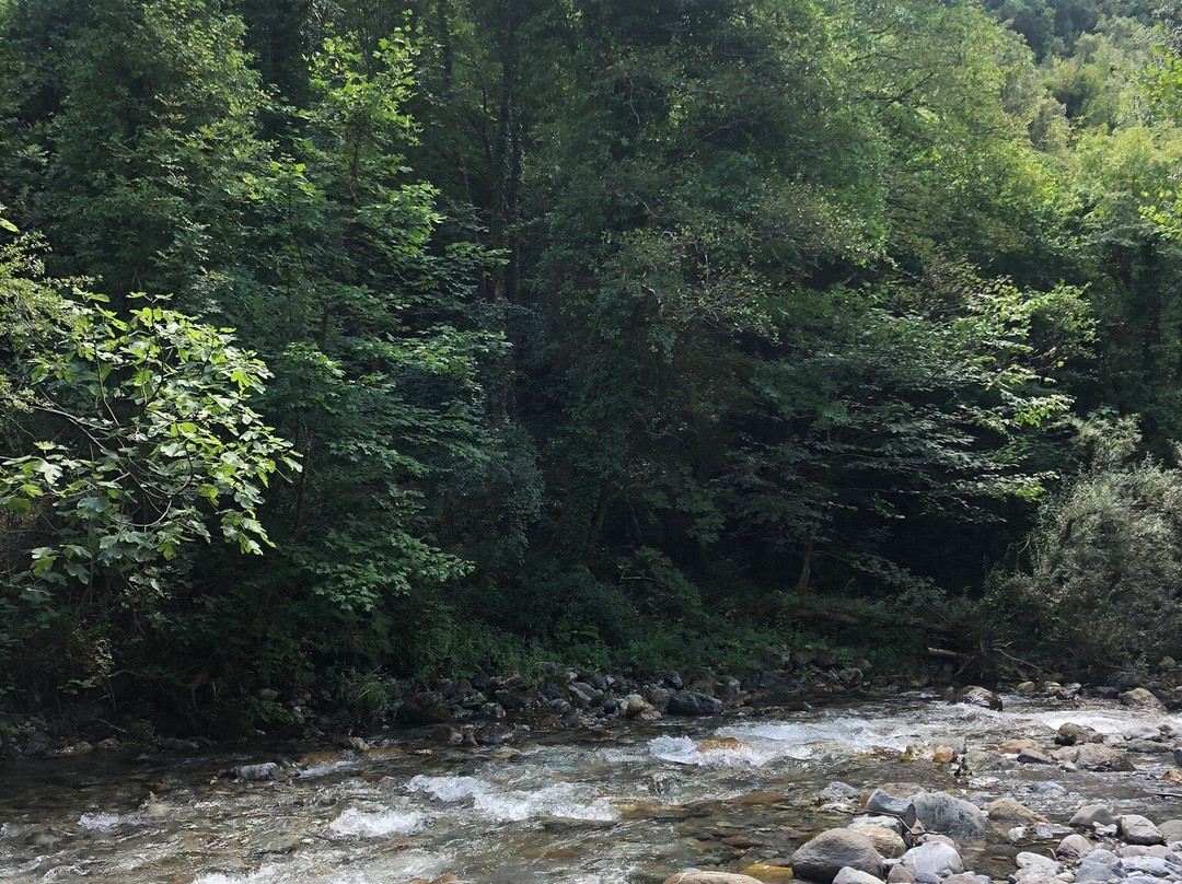 Valle dell'Argentino景点图片