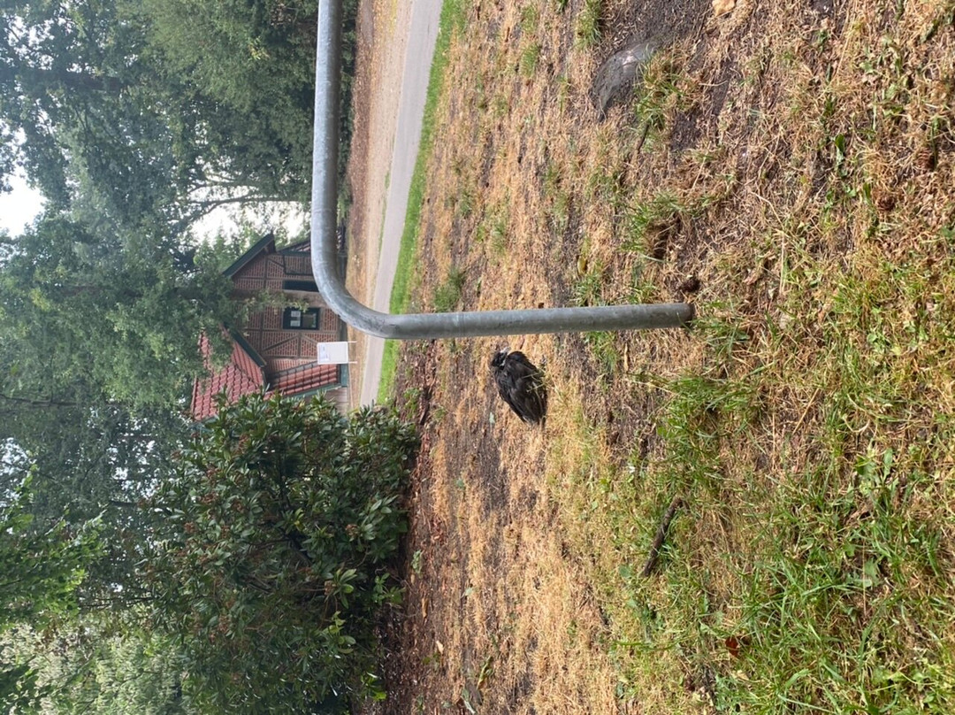 Wildpark Frankenhof-Reken必去景点