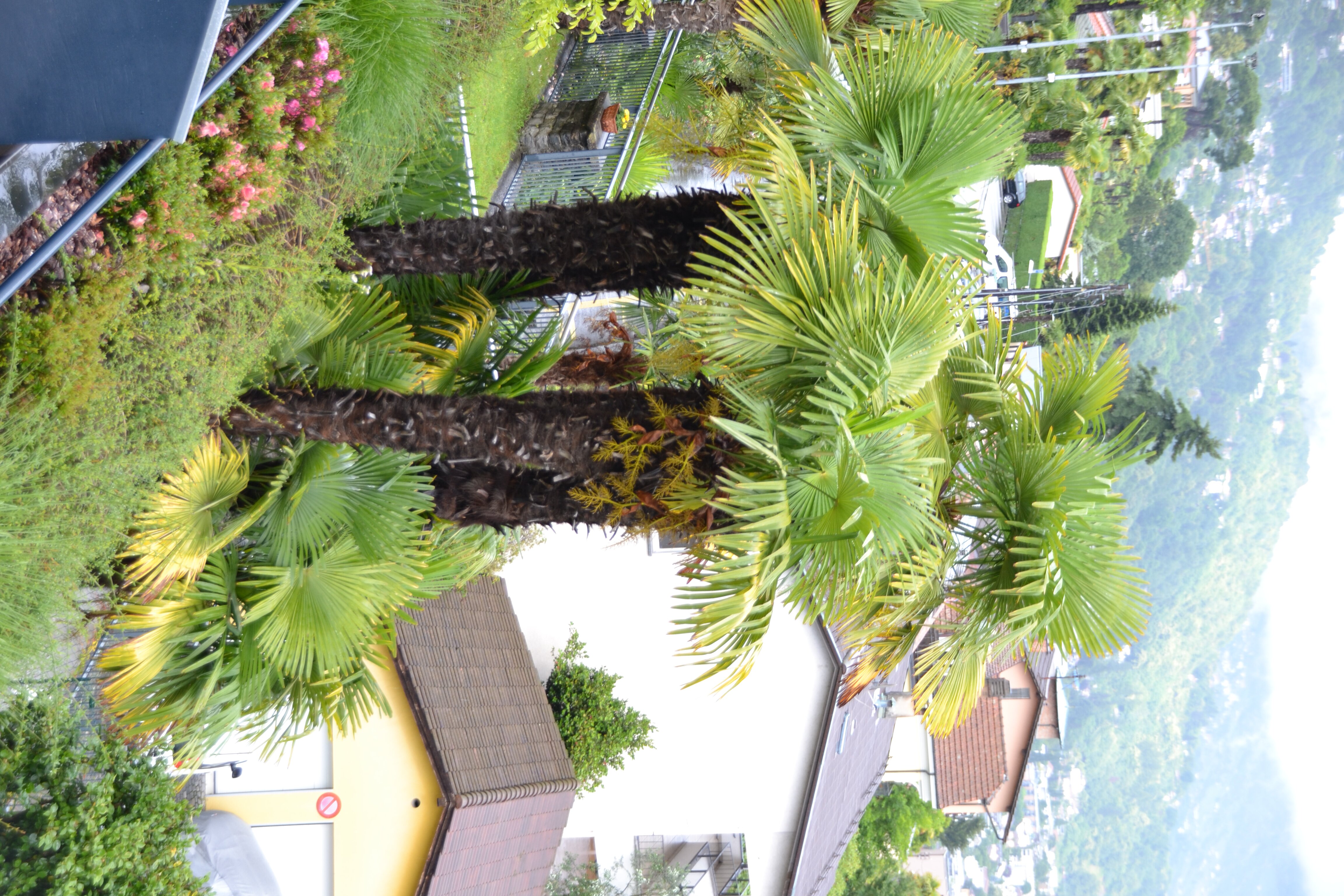 Hotel La Barca Blu-酒店景观