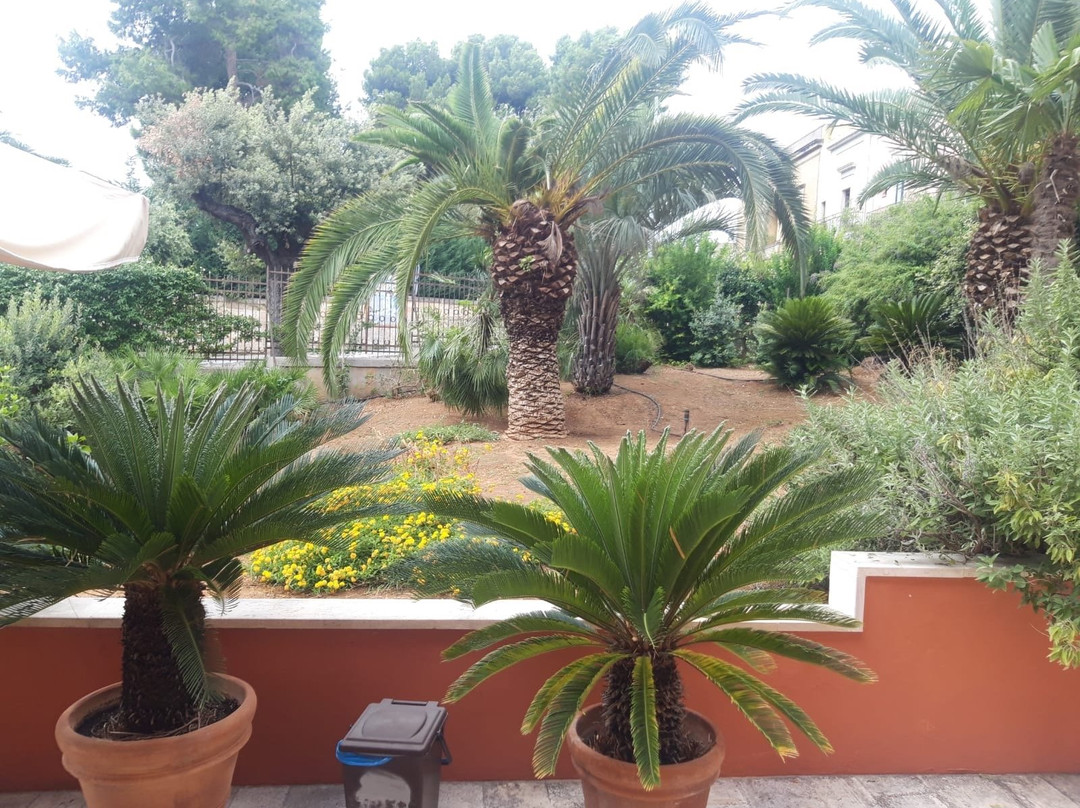 B&B Ippocastano主图