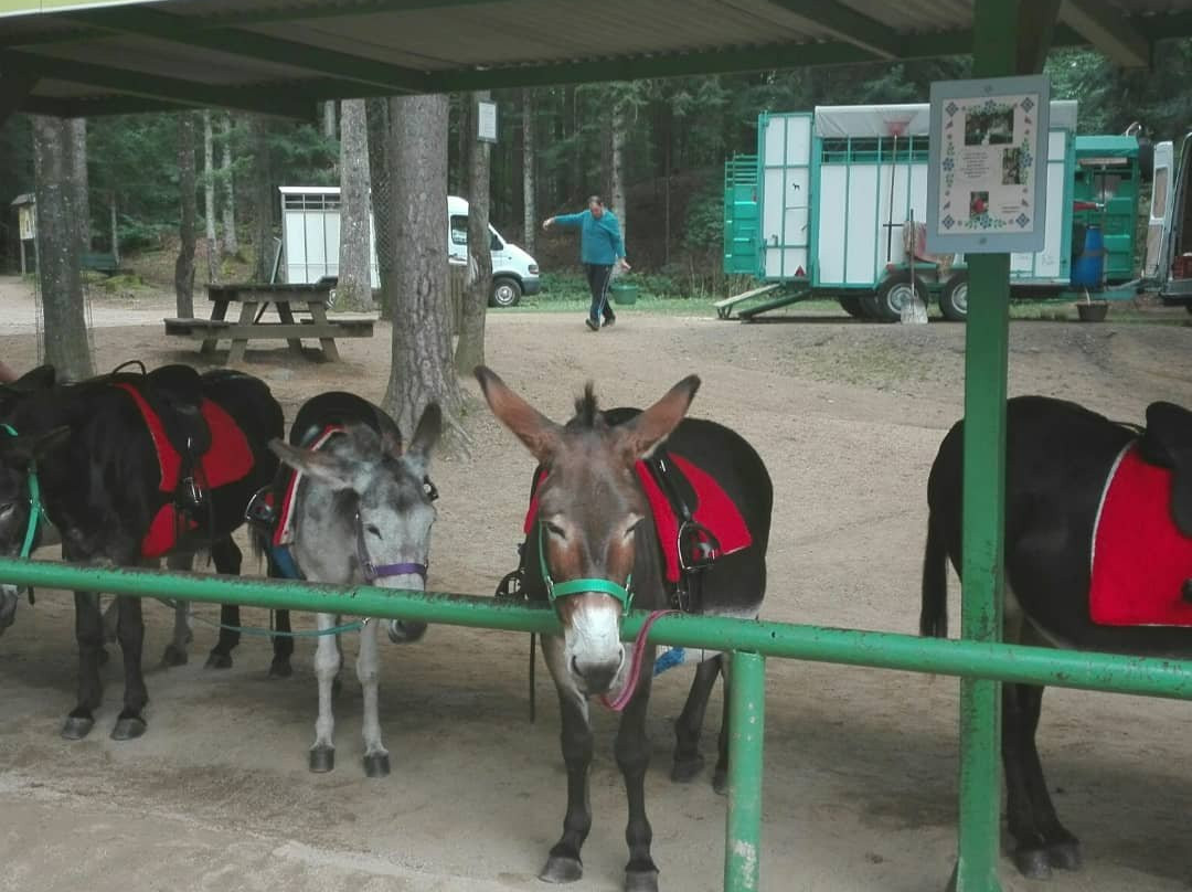 Les Anes d'Alexandre et Sylvain-Aydat必去景点