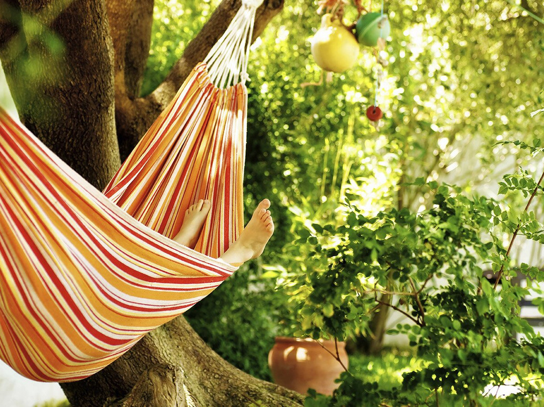 Fazenda Eco Jardim主图