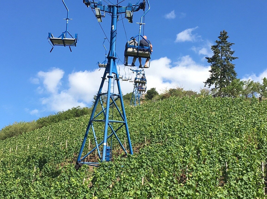 Hotel Muenster主图