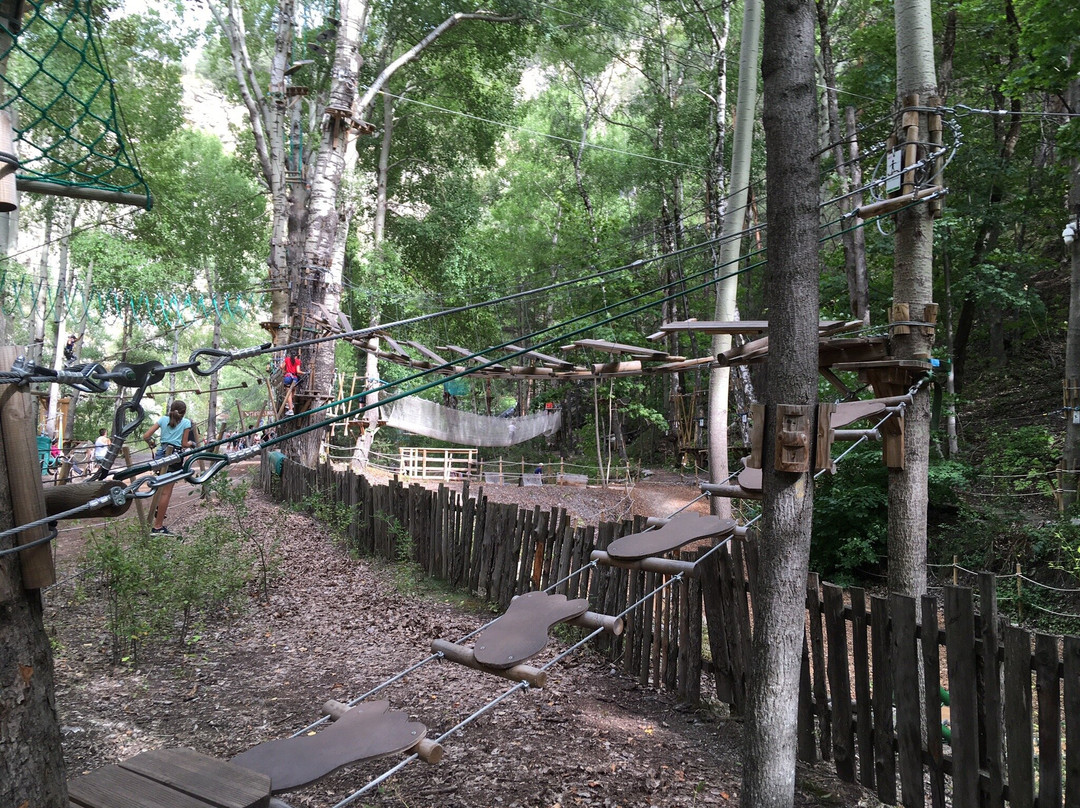 Grimp in Forest景点图片