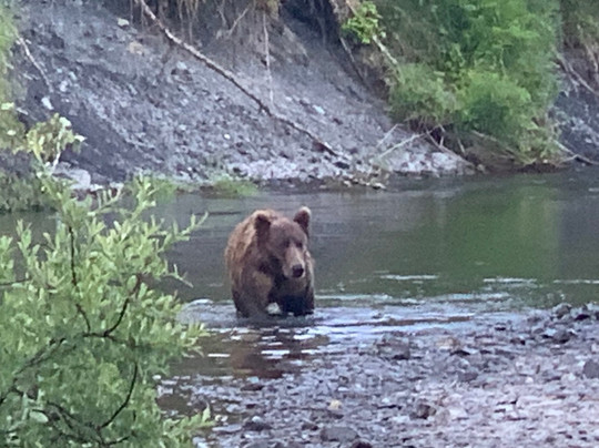 Reel Extreme Alaska-科迪亚克岛必去景点