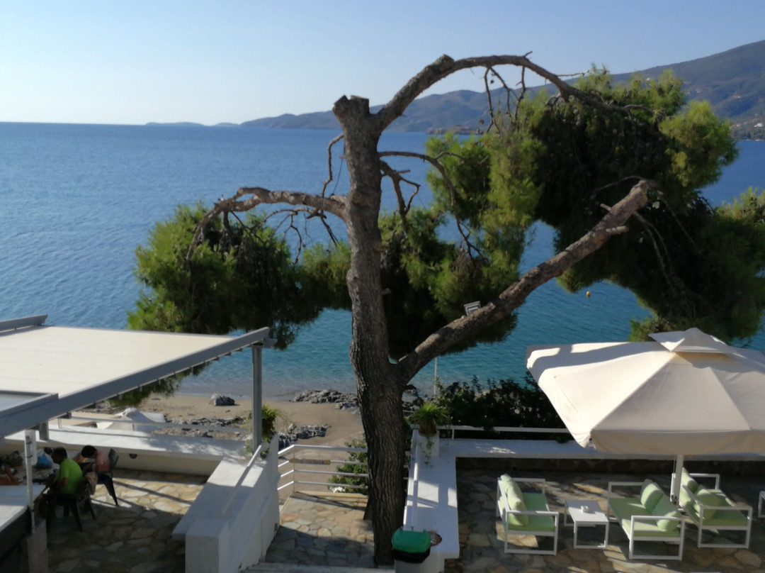 美好景色酒店主图