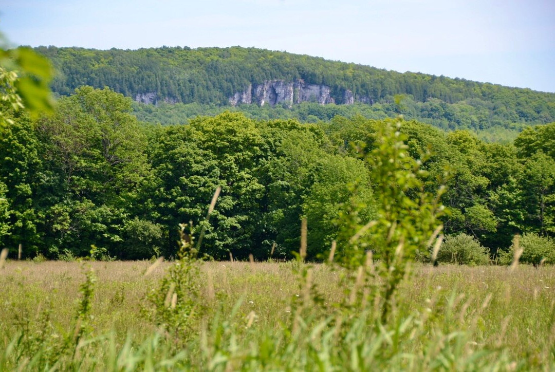 Duncan Escarpment Provincial Nature Reserve-蓝山必去景点