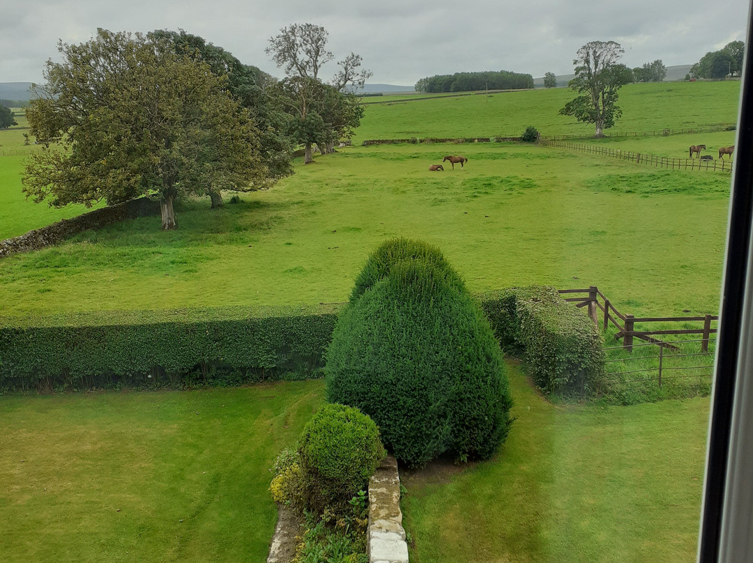 Dunns Houses Farmhouse Bed & Breakfast主图