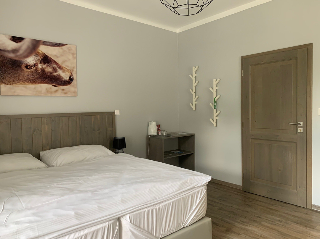 Hotel Pod Kaplickou主图