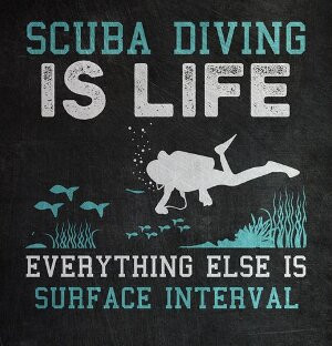 Narcosis Scuba Center-塔彭斯普林斯必去景点