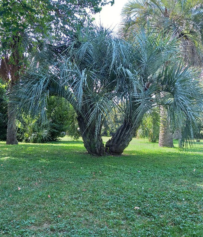 Jardin des plantes des Capellans-Saint-Cyprien必去景点