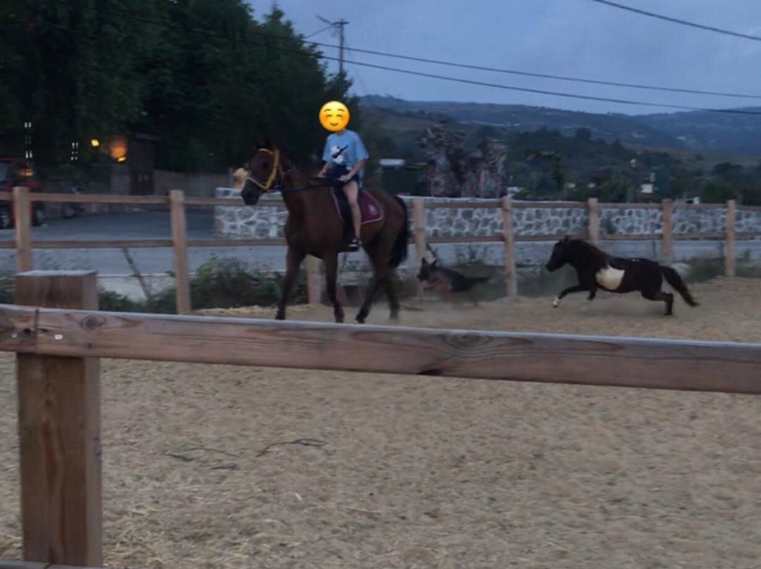 Castle Nolana Hotel & Horse Club主图