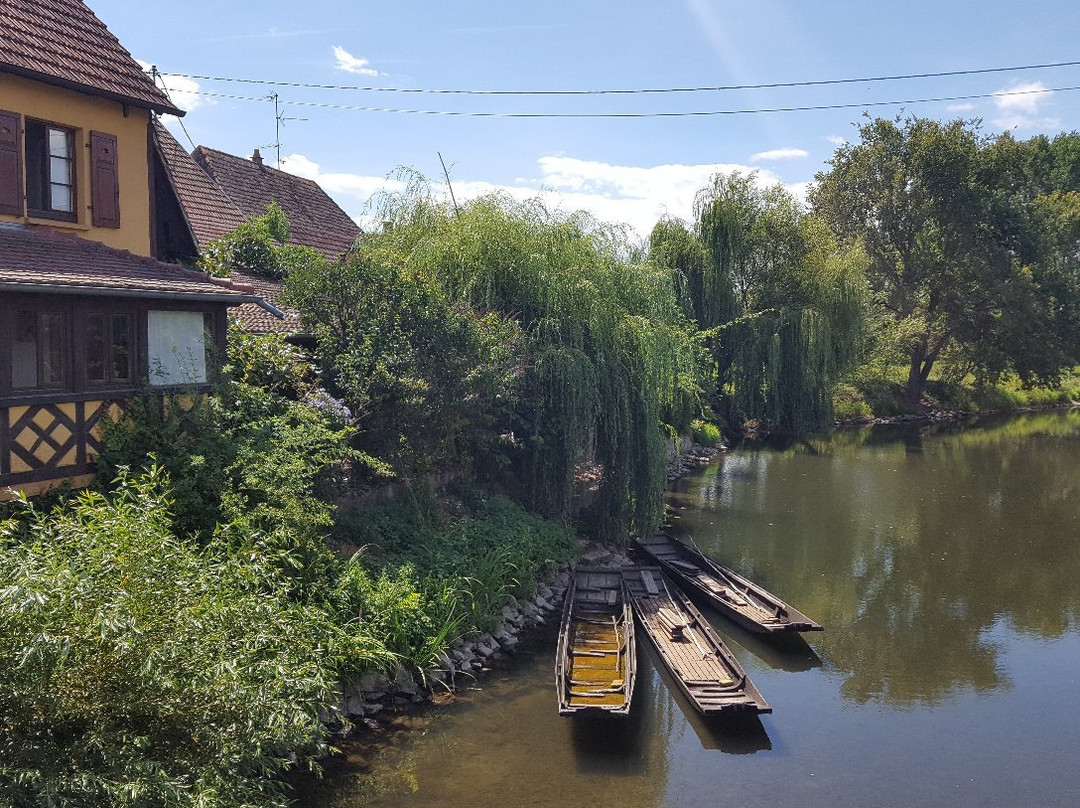 Muttersholtz旅游攻略图片