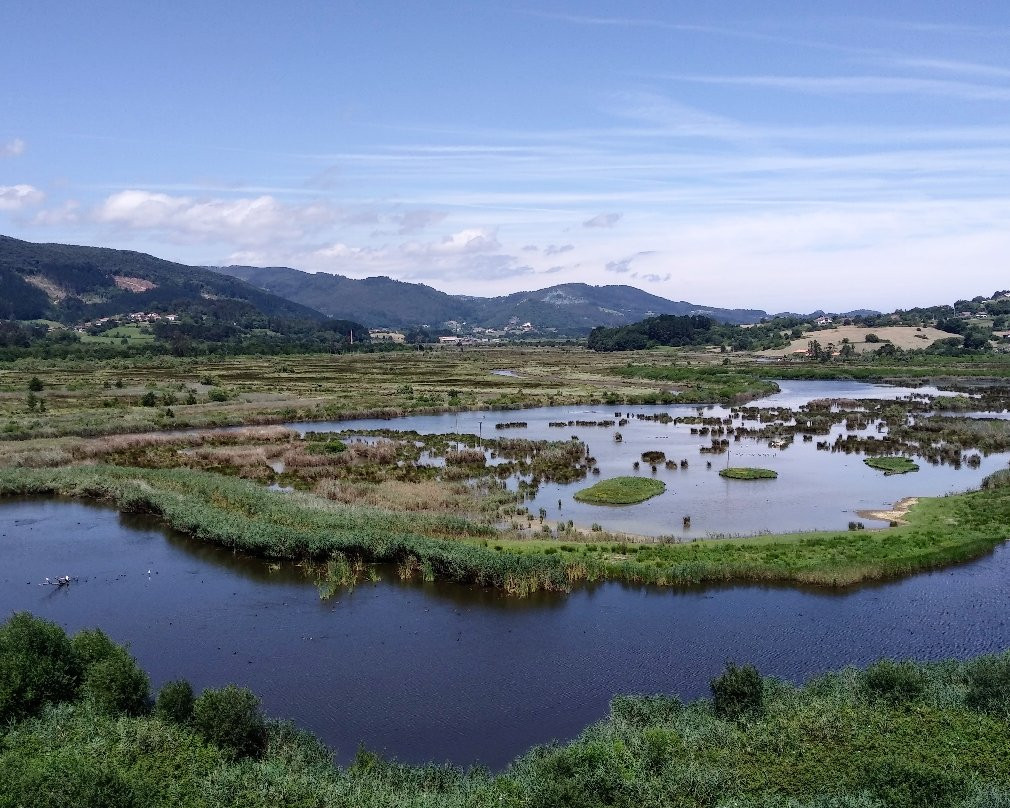 Urdaibai Bird Center景点图片