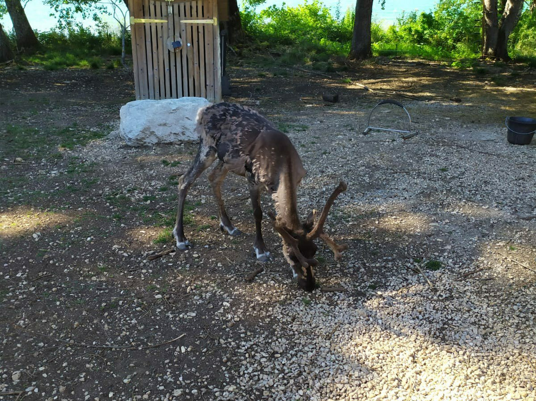 Parc Animalier du Herisson-Menetrux-en-Joux必去景点