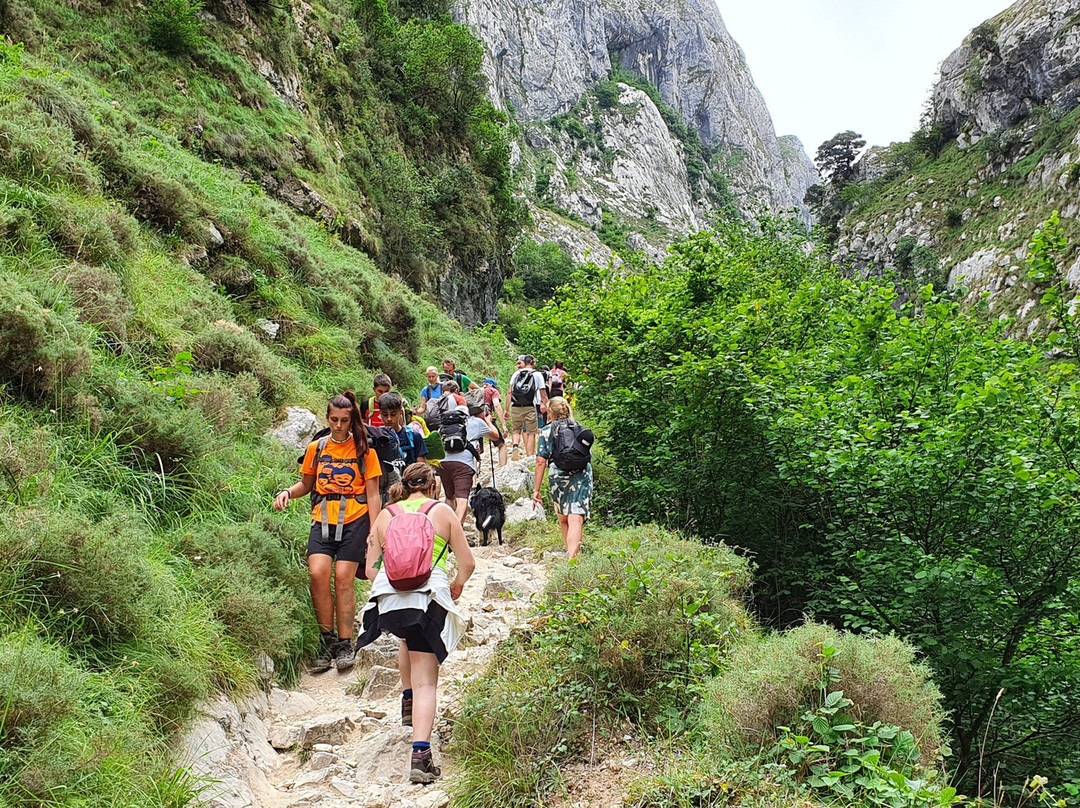 Mirador Naranjo de Bulnes景点图片