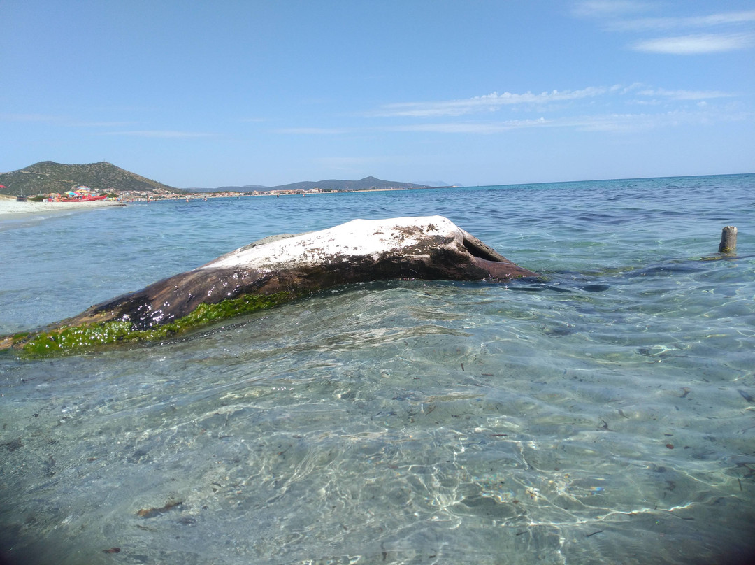 Spiaggia di Santa Lucia-Santa Lucia必去景点