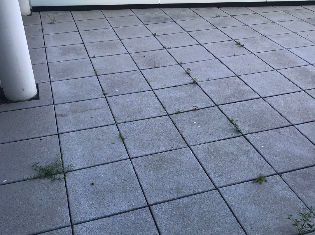 Elaya Hotel Kleve主图