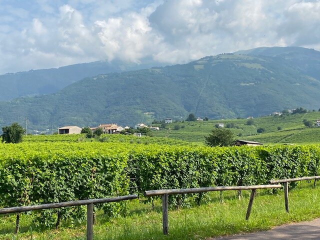 Locanda Sandi-浴室