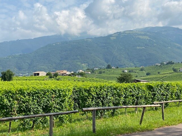 Locanda Sandi主图